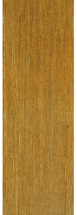 ModernWood Texture