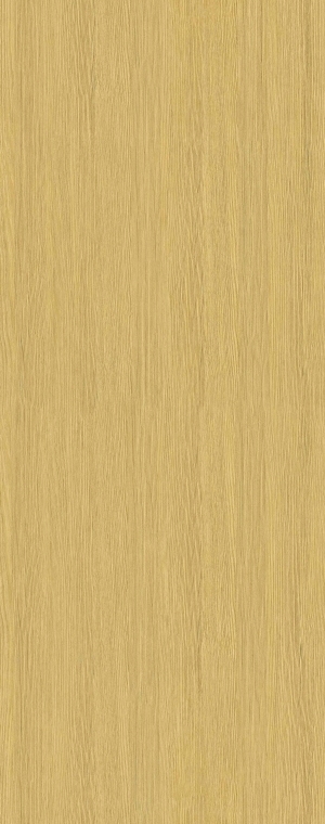 ModernWood Texture