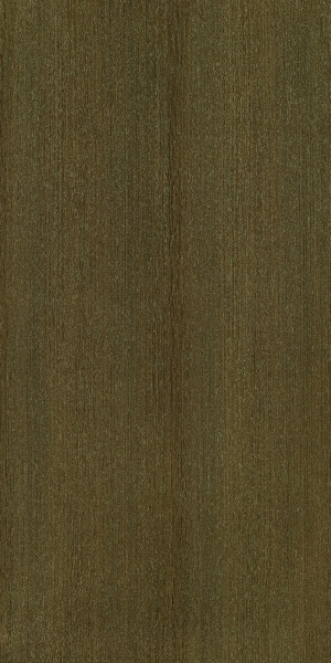 ModernWood Texture