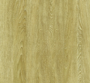 ModernWood Texture