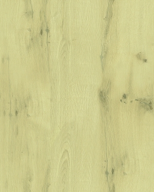 ModernWood Texture