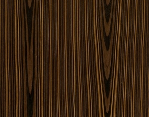 ModernWood Texture