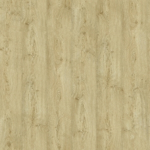 ModernWood Texture