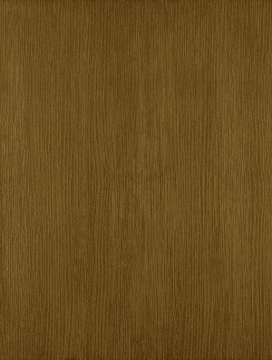 ModernWood Texture