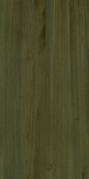 ModernWood Texture