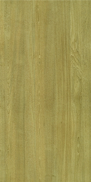 ModernWood Texture