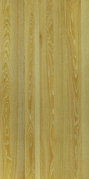ModernWood Texture