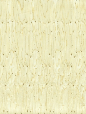 ModernWood Texture