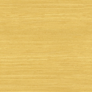 ModernWood Texture