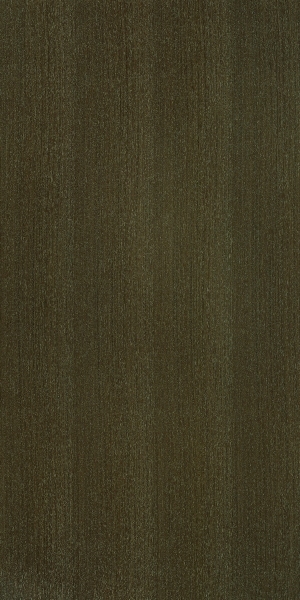 ModernWood Texture