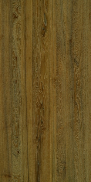ModernWood Texture