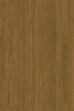 ModernWood Texture