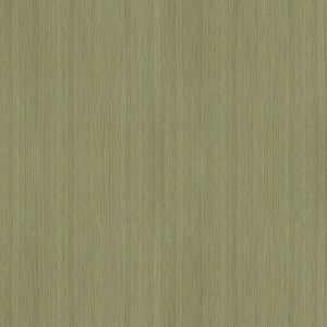 ModernWood Texture