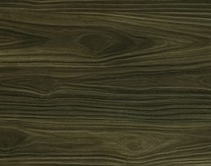 ModernWood Texture