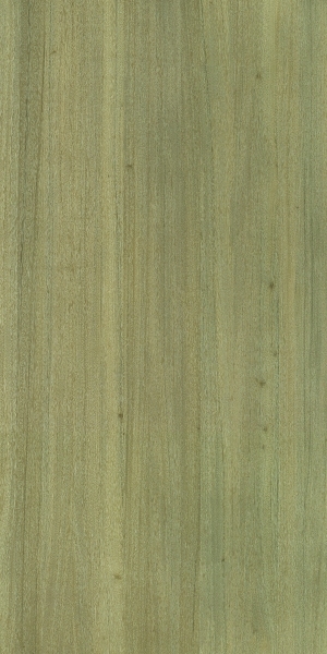 ModernWood Texture