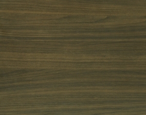 ModernWood Texture