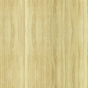 ModernWood Texture