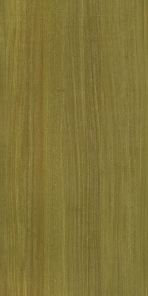 ModernWood Texture