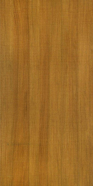 ModernWood Texture