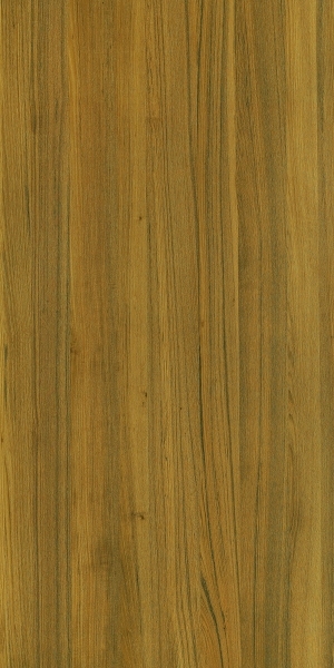ModernWood Texture