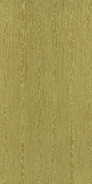 ModernWood Texture