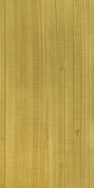 现代木纹-ID:352014063