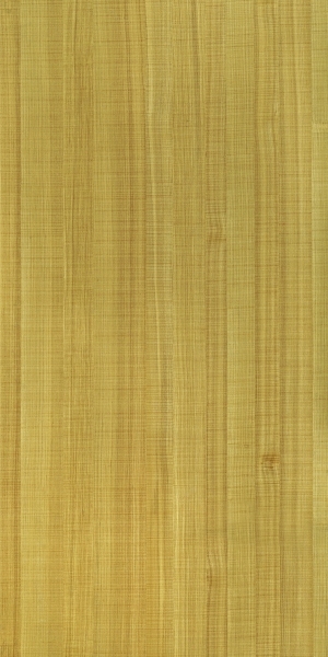 ModernWood Texture