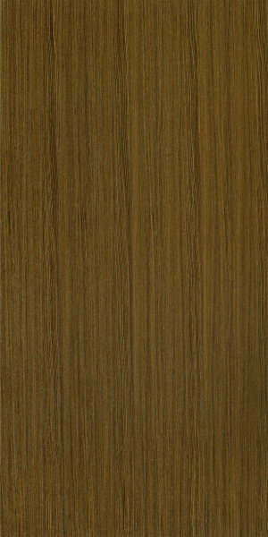 ModernWood Texture