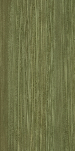 ModernWood Texture