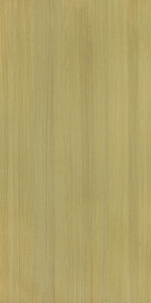 ModernWood Texture