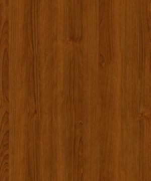 ModernWood Texture