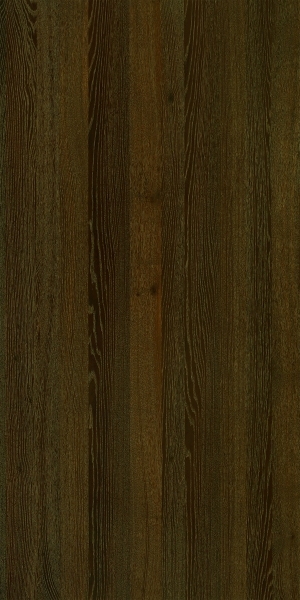 ModernWood Texture