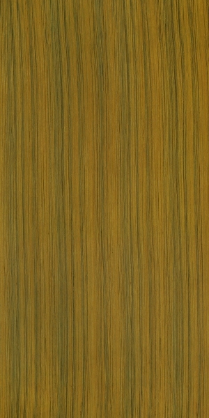 ModernWood Texture