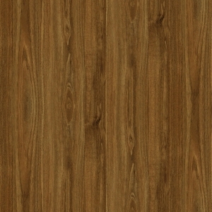 ModernWood Texture