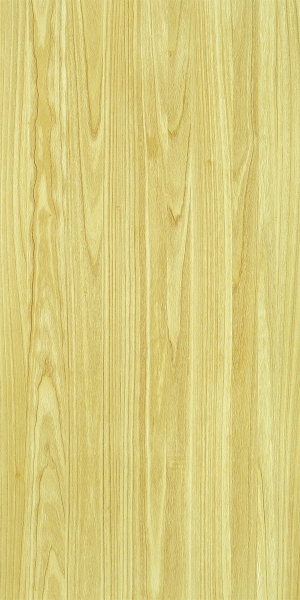ModernWood Texture