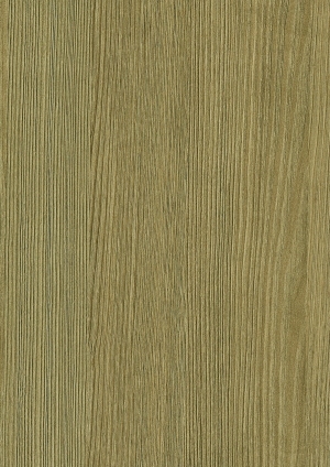ModernWood Texture