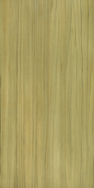 现代木纹-ID:468600994