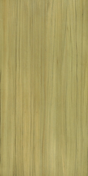 ModernWood Texture