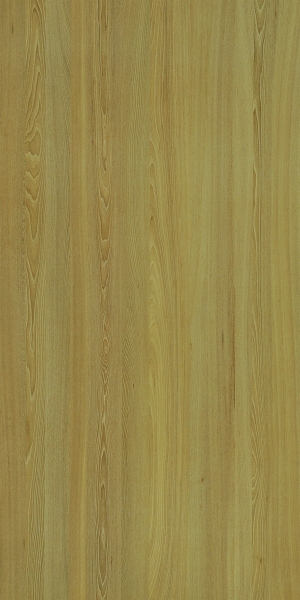 ModernWood Texture
