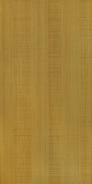 ModernWood Texture