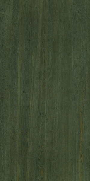 ModernWood Texture