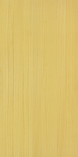 ModernWood Texture