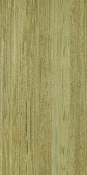 ModernWood Texture