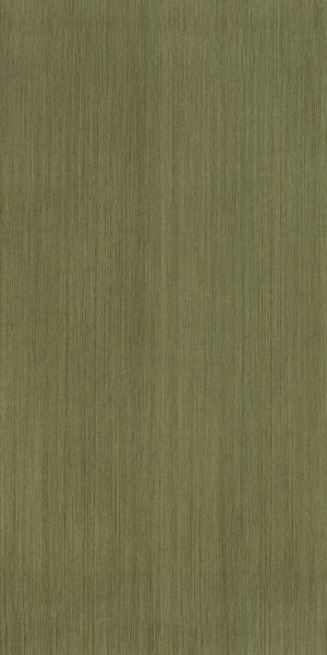 ModernWood Texture