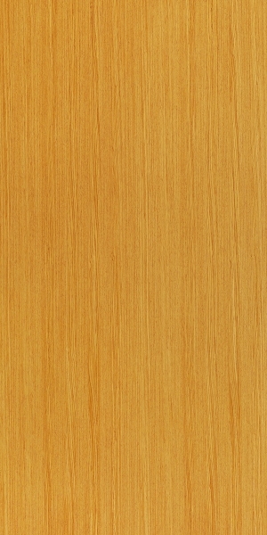 ModernWood Texture