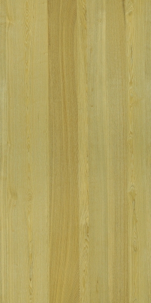 ModernWood Texture