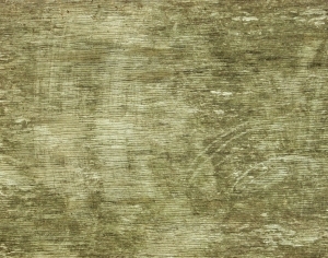 ModernWood Texture