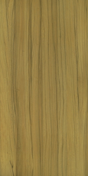 ModernWood Texture