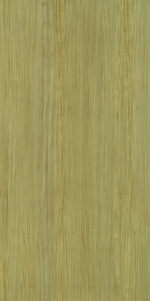 ModernWood Texture