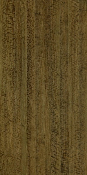 ModernWood Texture
